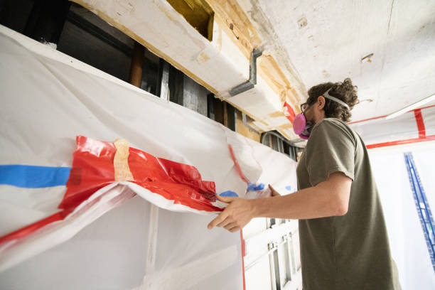 Best Basement Mold Removal  in Holtsville, NY