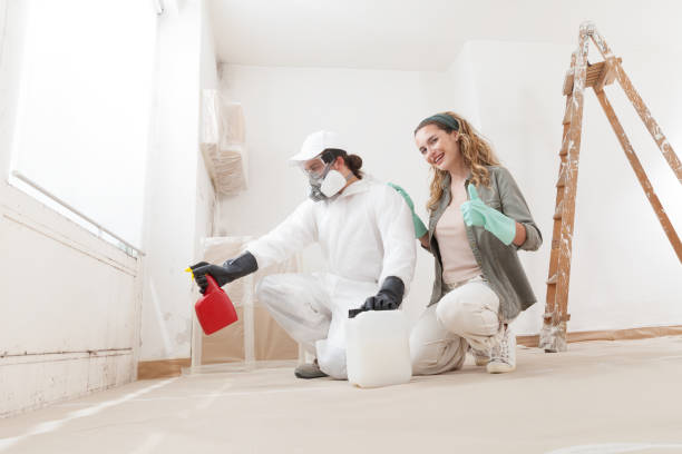 Best Post-Remediation Verification Testing  in Holtsville, NY